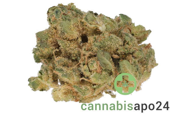 PHCANN Exotics 32/1 Spritzer
