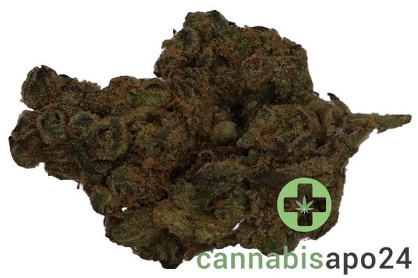 PHCANN Exotics 32/1 Spritzer