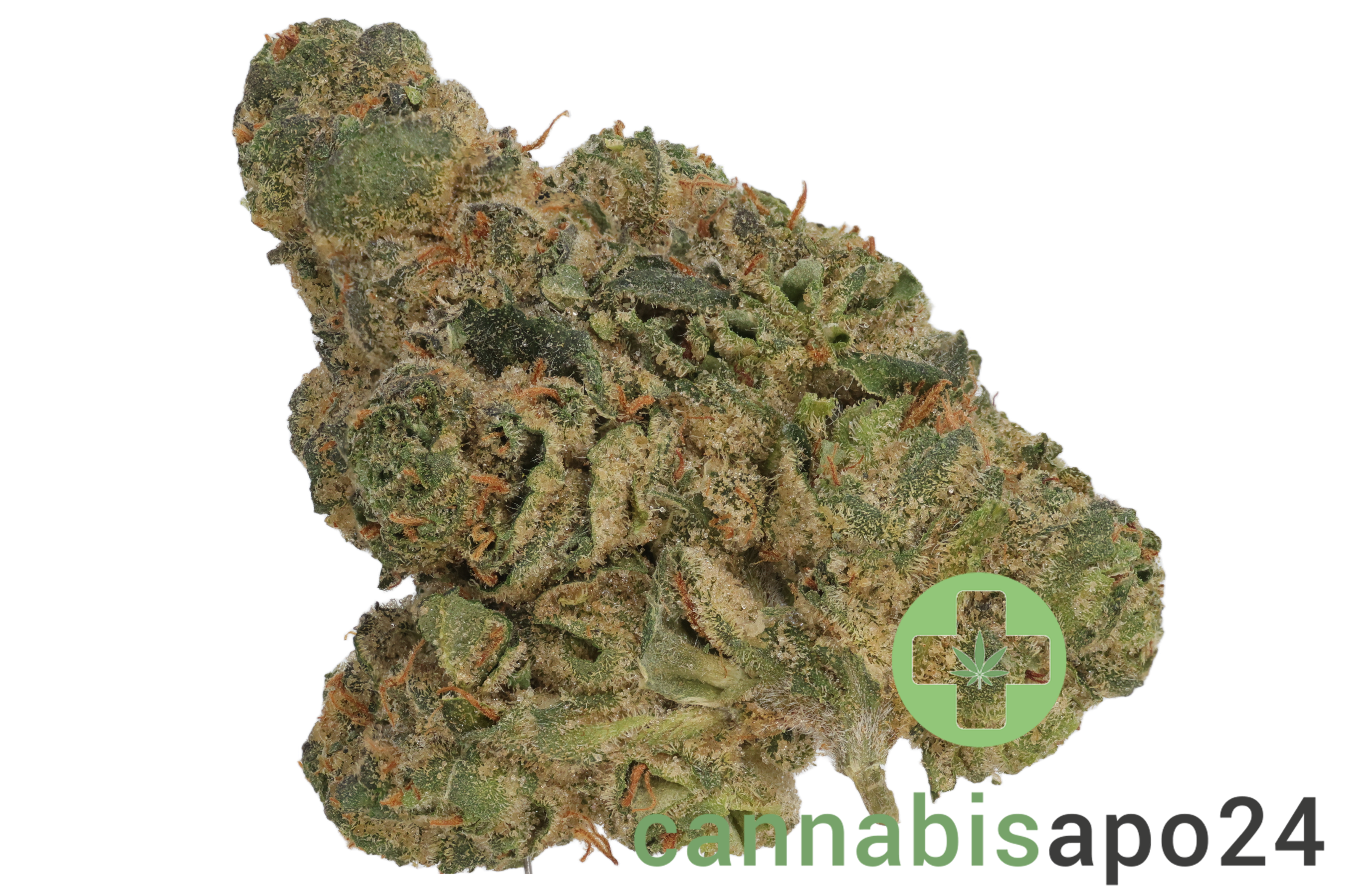 Pedanios 29/1 PND CA - Pink Diesel