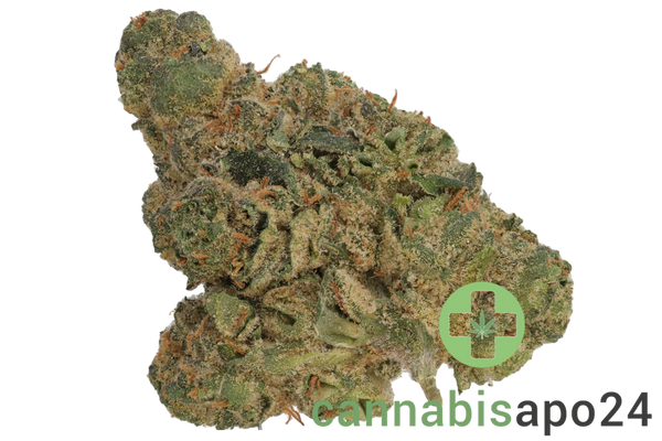 Pedanios 29/1 PND CA - Pink Diesel