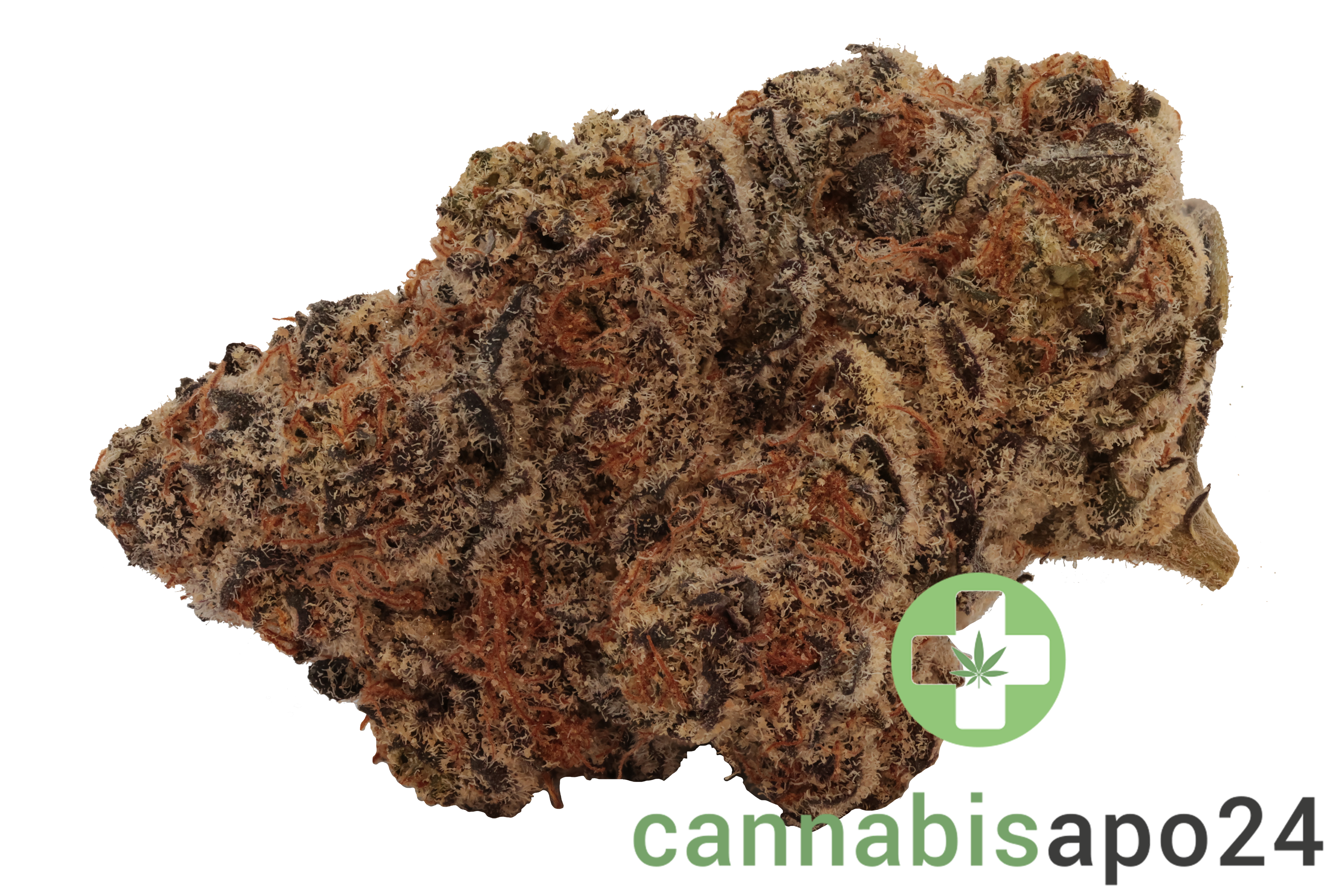 Roxton Air STV 25/1 Jelly Rancher