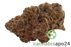 Roxton Air STV 25/1 Jelly Rancher