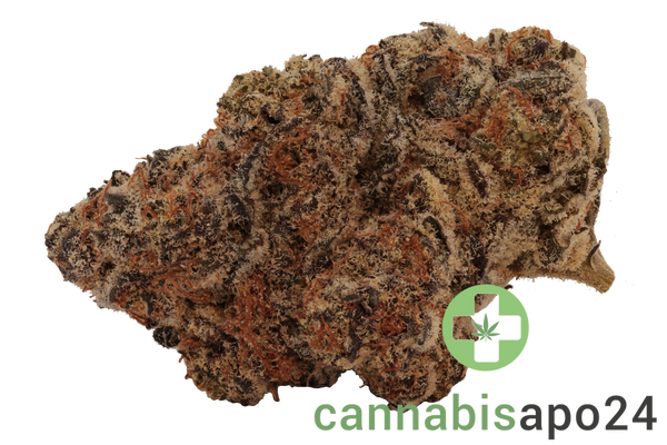 Roxton Air STV 25/1 Jelly Rancher