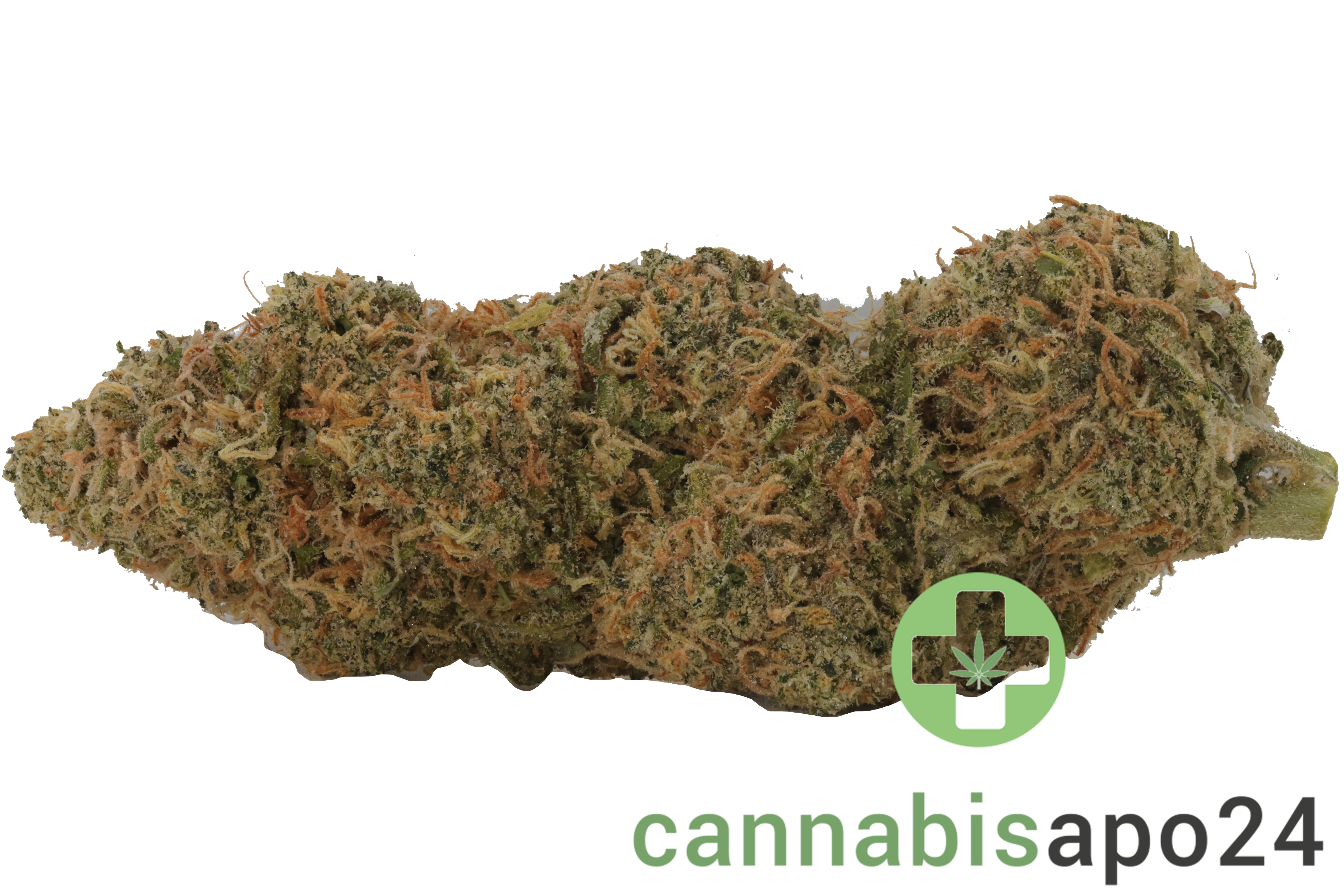 Sinceritas Sativa Verum 24/1 BG Blueberry Gelato