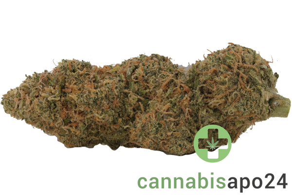 Sinceritas Sativa Verum 24/1 BG Blueberry Gelato