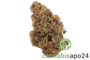 Therismos 30/1 BRB - Bruce Banner