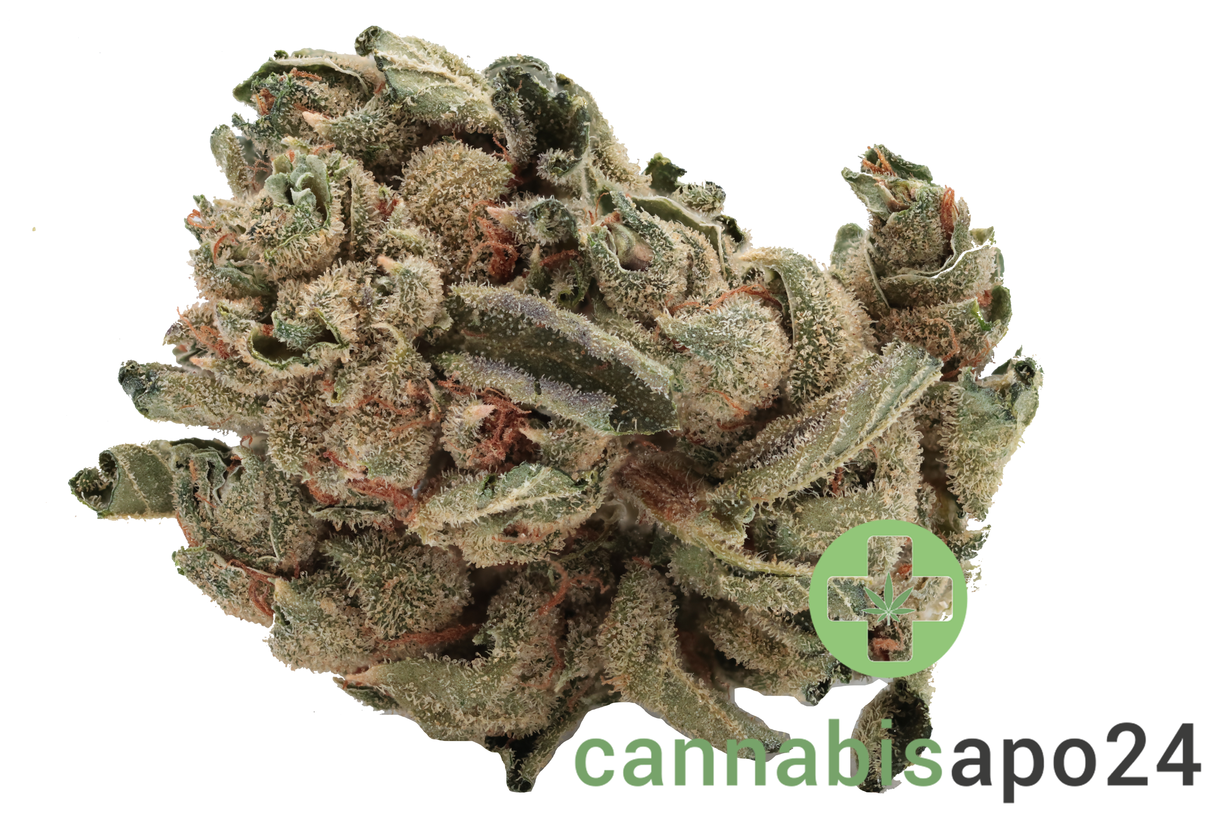 Tilray THC22 Spotlight Porto - Mango