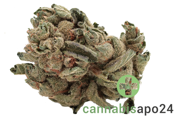 Tilray THC22 Spotlight Porto - Mango