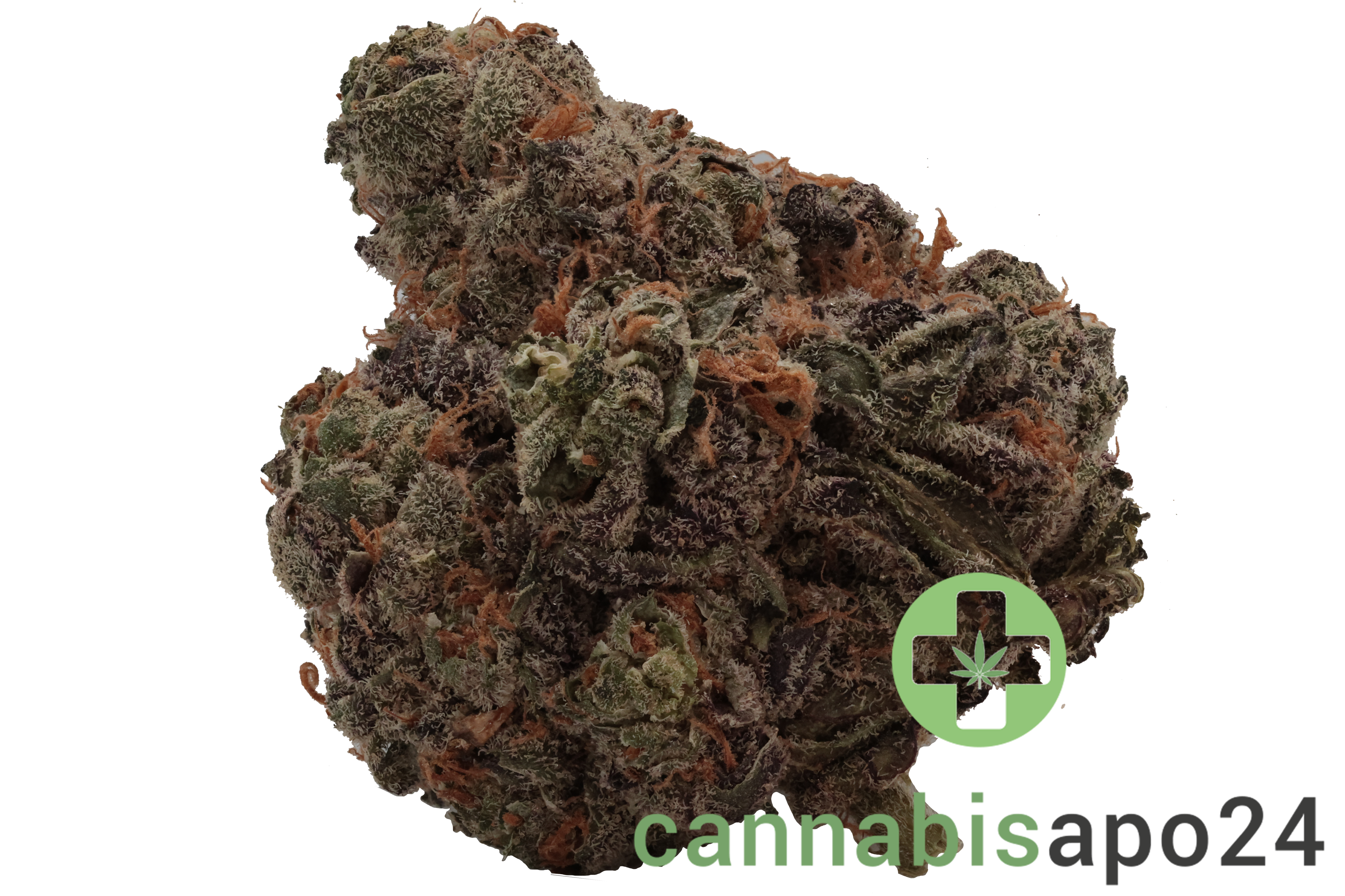 Tilray THC22 Spotlight Porto King Sherb