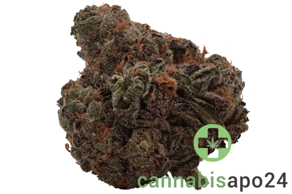 Tilray THC22 Spotlight Porto King Sherb