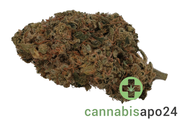 Truth 30/1 SLH Super Lemon Haze