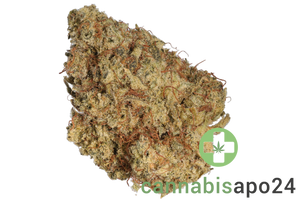 Upstate 25/1 FOG Face Off OG