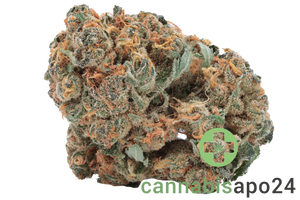 Cannabis 1A 18/1 Flos Vayamed