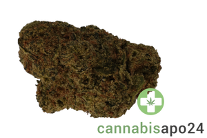 Weeco Vasco 21/1 Skunk Widow