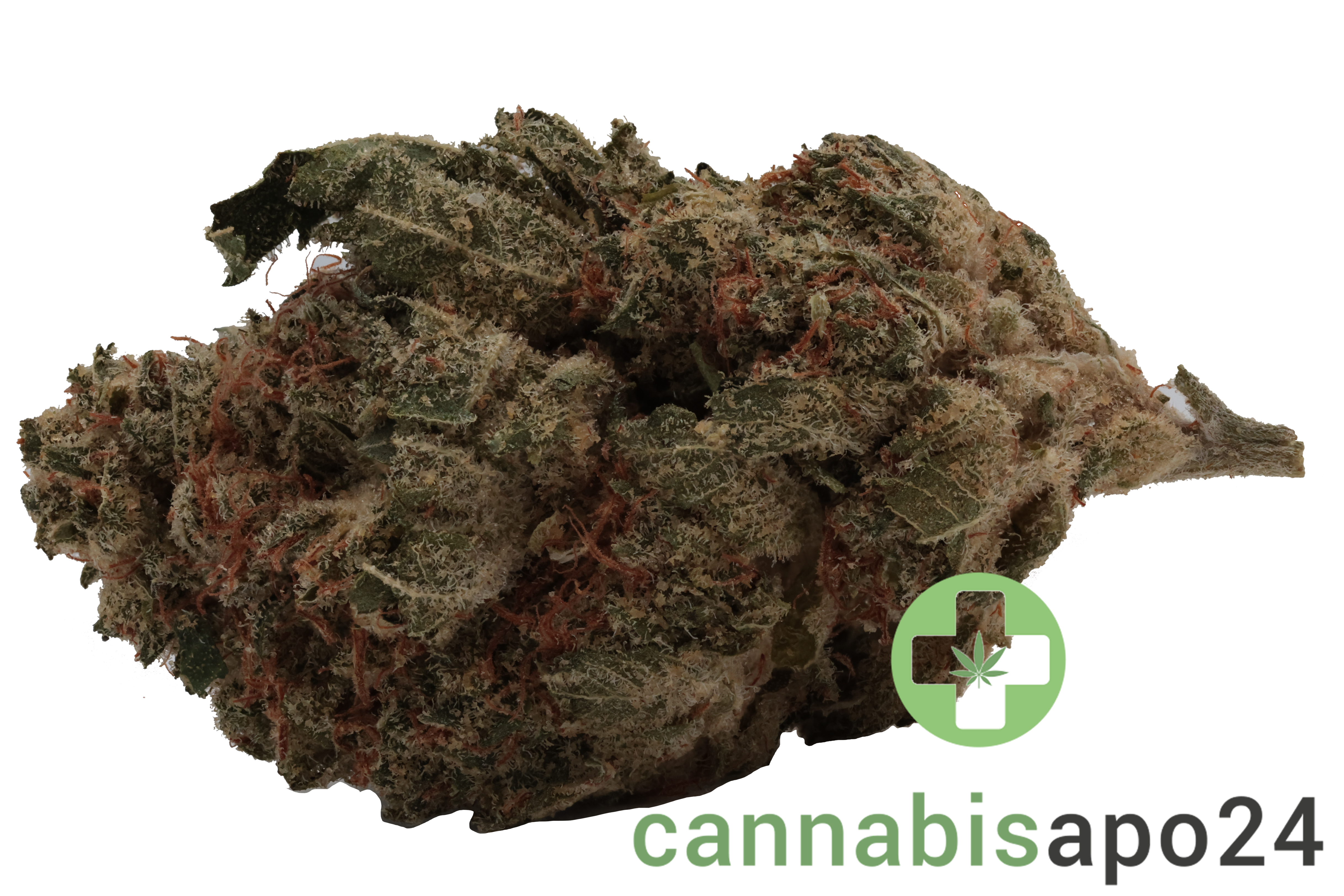 Zoiks 26/1 SR Space Rider