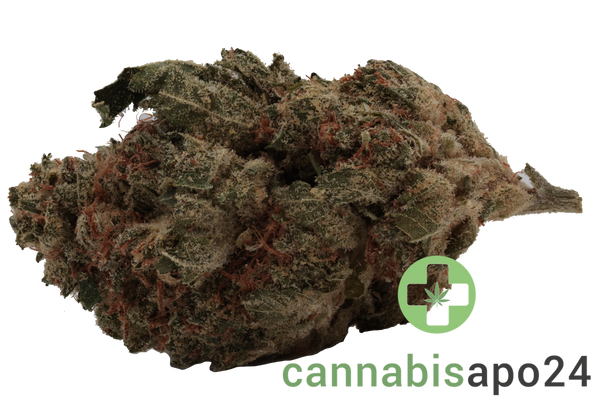 Zoiks 26/1 SR Space Rider