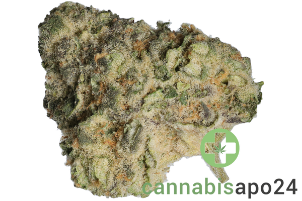 Zoiks 31/1 MN Moonlight Nectar
