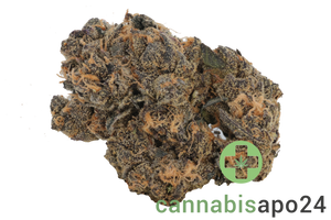 Cookies 2.0 A&B 26/1 CAN