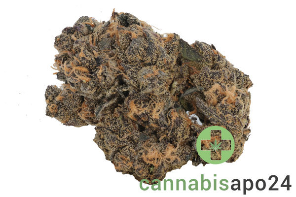 Cookies 2.0 A&B 26/1 CAN