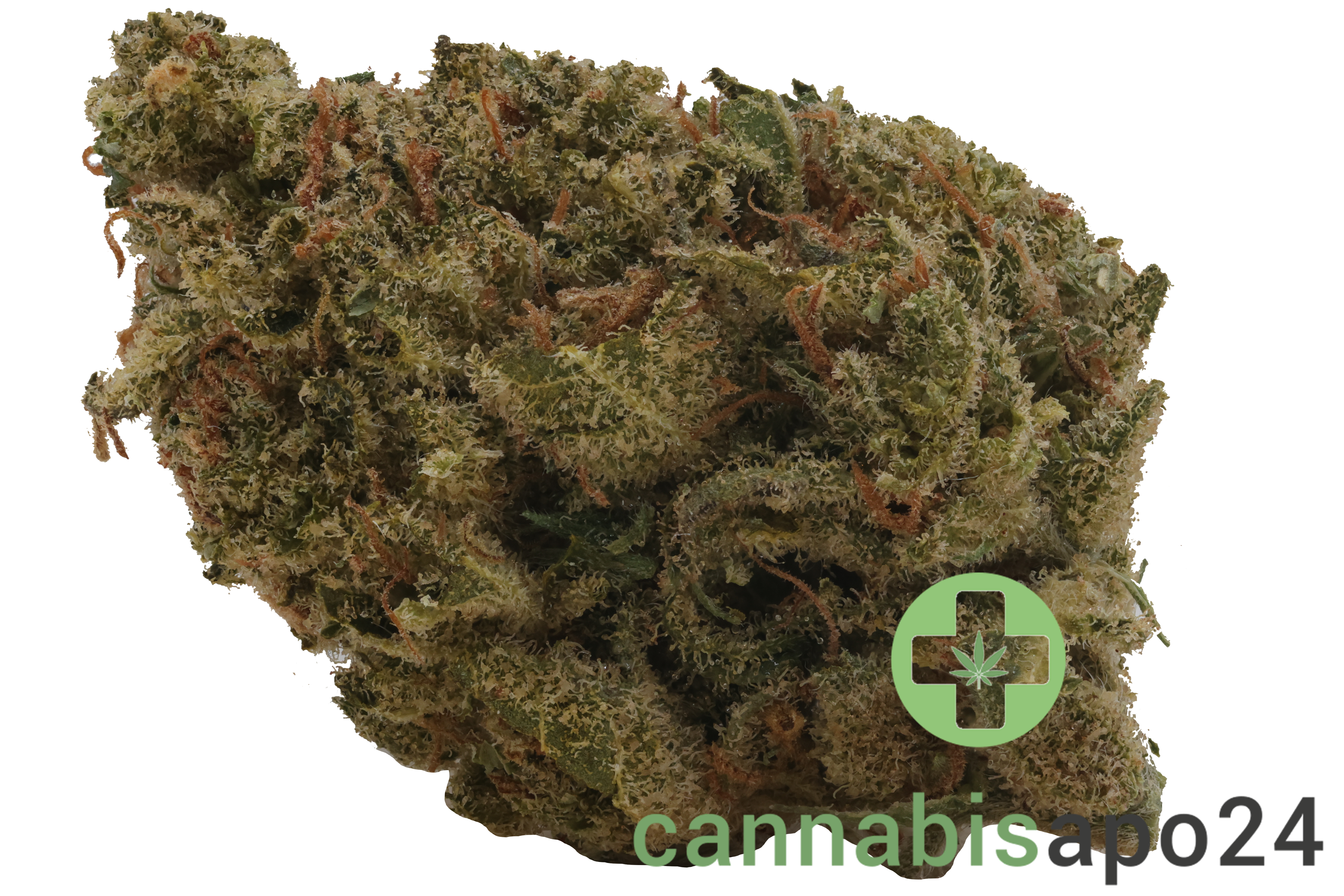BG 15 PBH COL Panama Haze