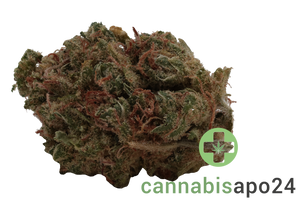 aleph air 16/1 Sour Tangie