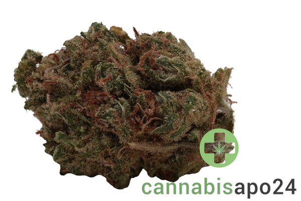 aleph air 16/1 Sour Tangie