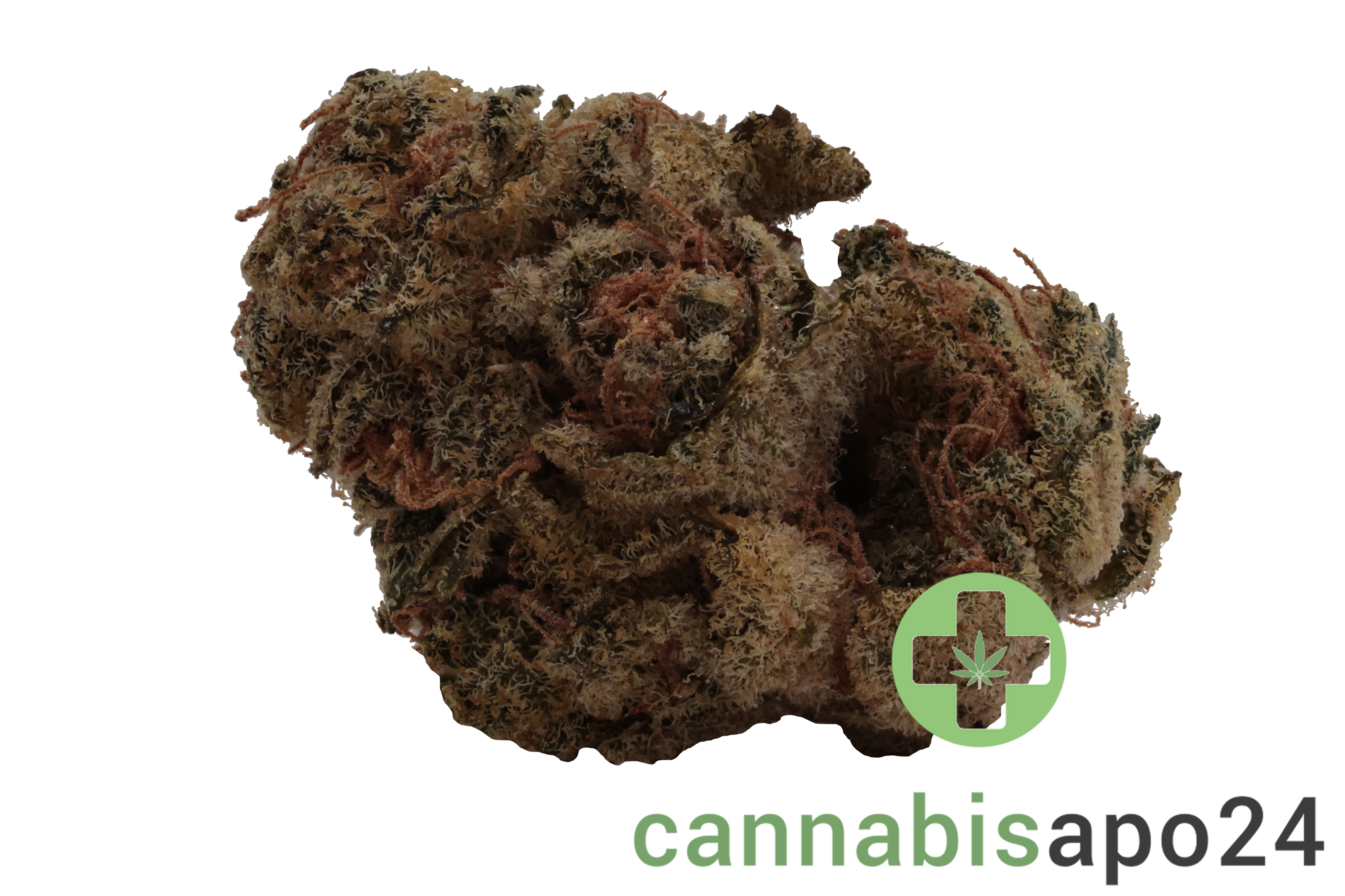 aleph rose 18/1 Tropicana Cookies