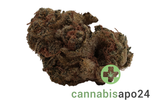 aleph rose 18/1 Tropicana Cookies