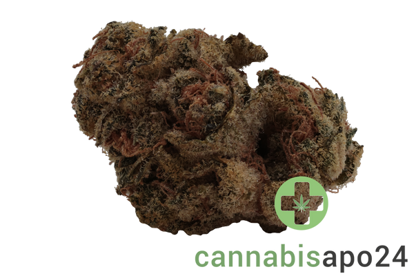 aleph rose 18/1 Tropicana Cookies