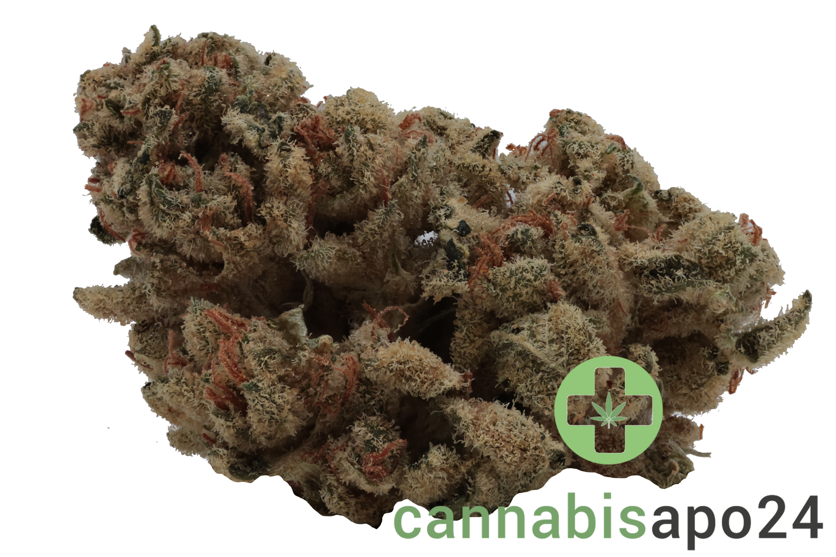 aleph Ruby 24/1 Kosher Tangie