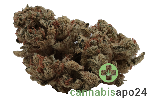 aleph Ruby 24/1 Kosher Tangie