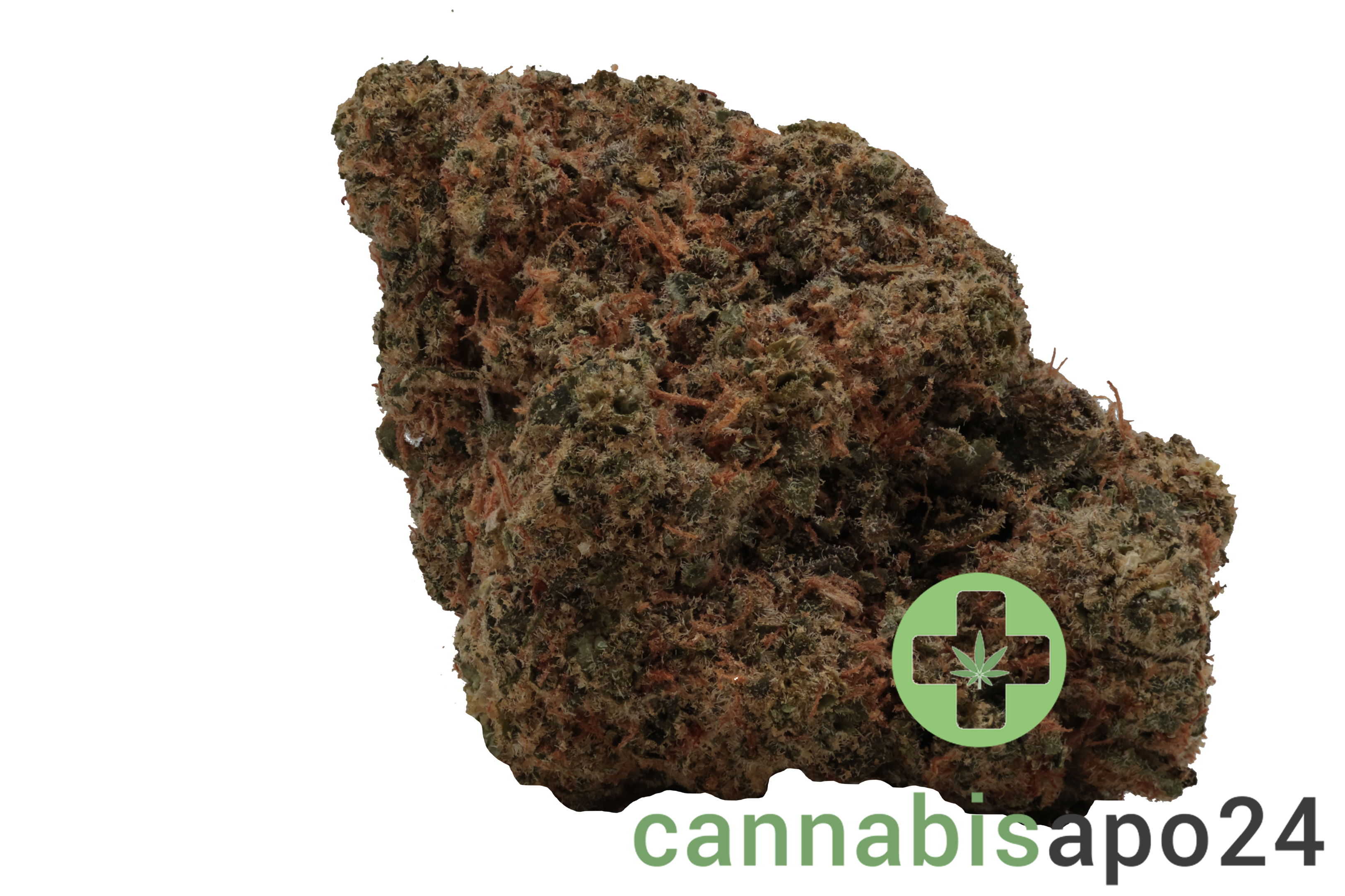 All Nations LT 25/1 PT Lemon Tartz