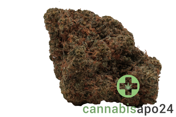 All Nations LT 25/1 PT Lemon Tartz