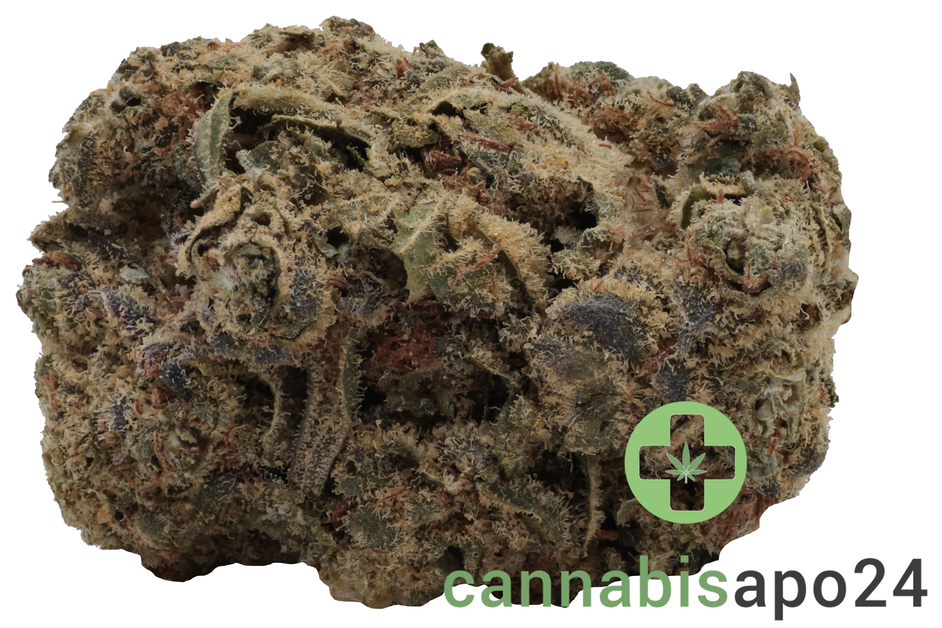 All Nations SF 18/1 Mandarine Cookies