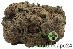 All Nations SF 18/1 Mandarine Cookies