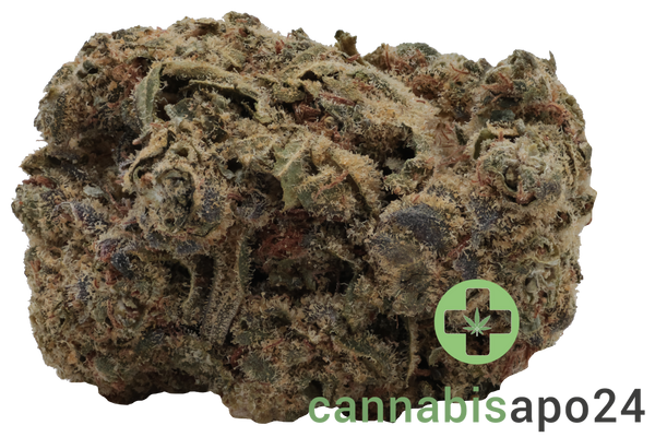 All Nations SF 18/1 Mandarine Cookies