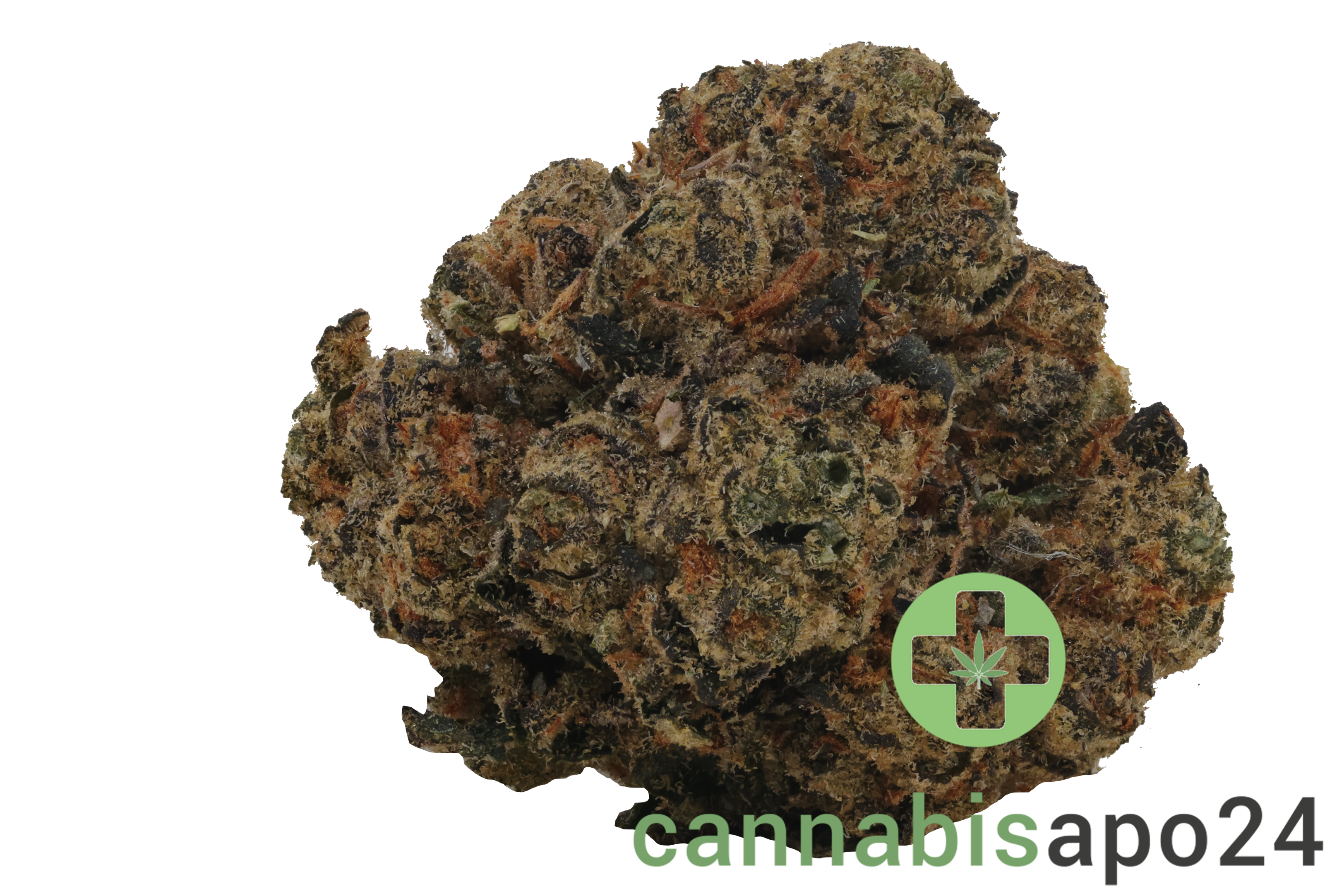 22/1 Amici PMA Permanent Marker