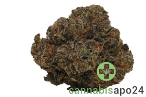 22/1 Amici PMA Permanent Marker