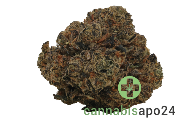 22/1 Amici PMA Permanent Marker