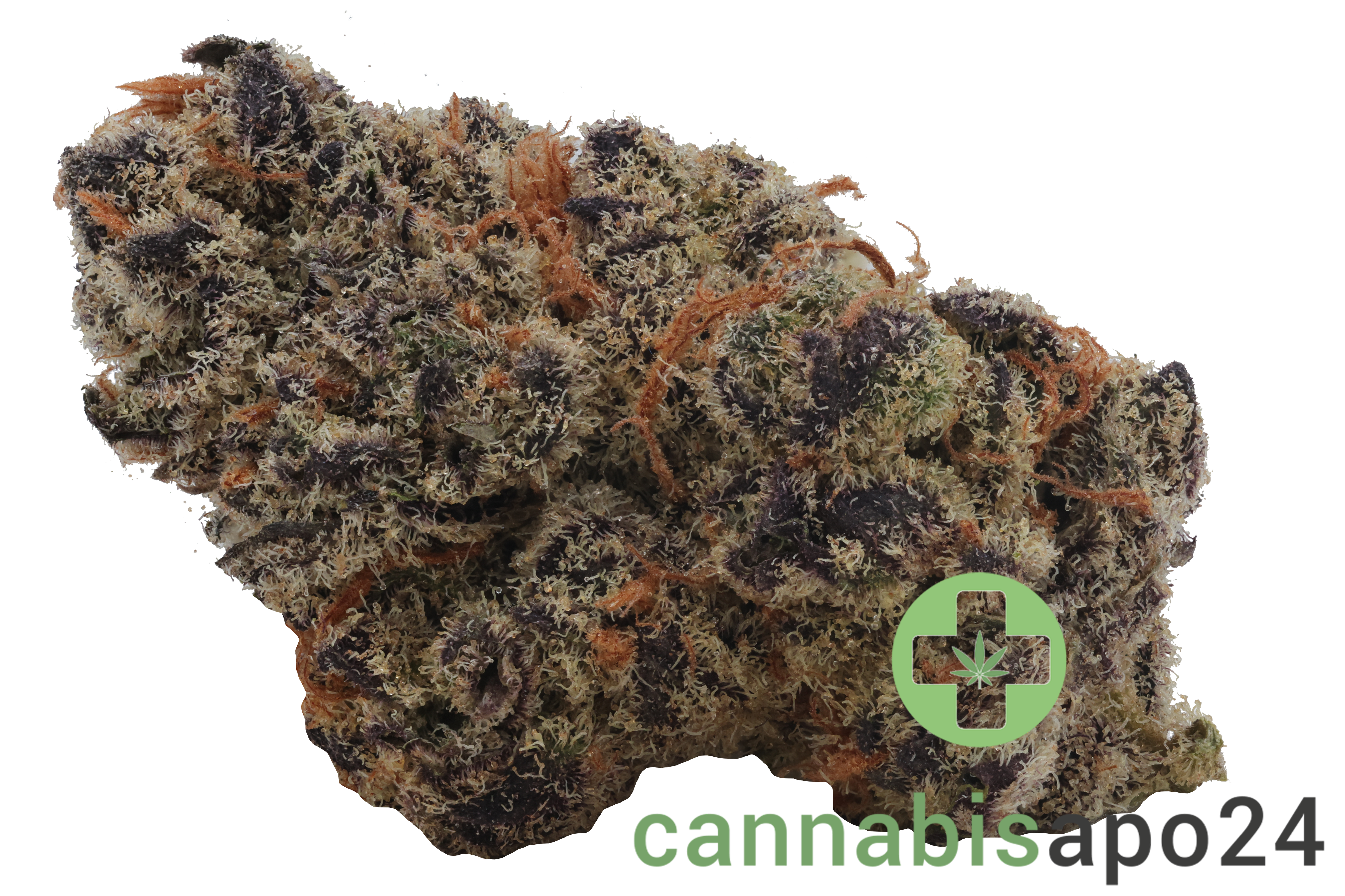 26/1 Amici BH Blueberry Headband
