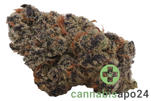 26/1 Amici BH Blueberry Headband
