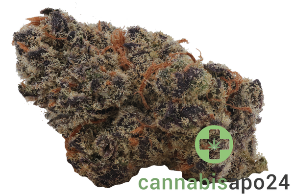 26/1 Amici BH Blueberry Headband