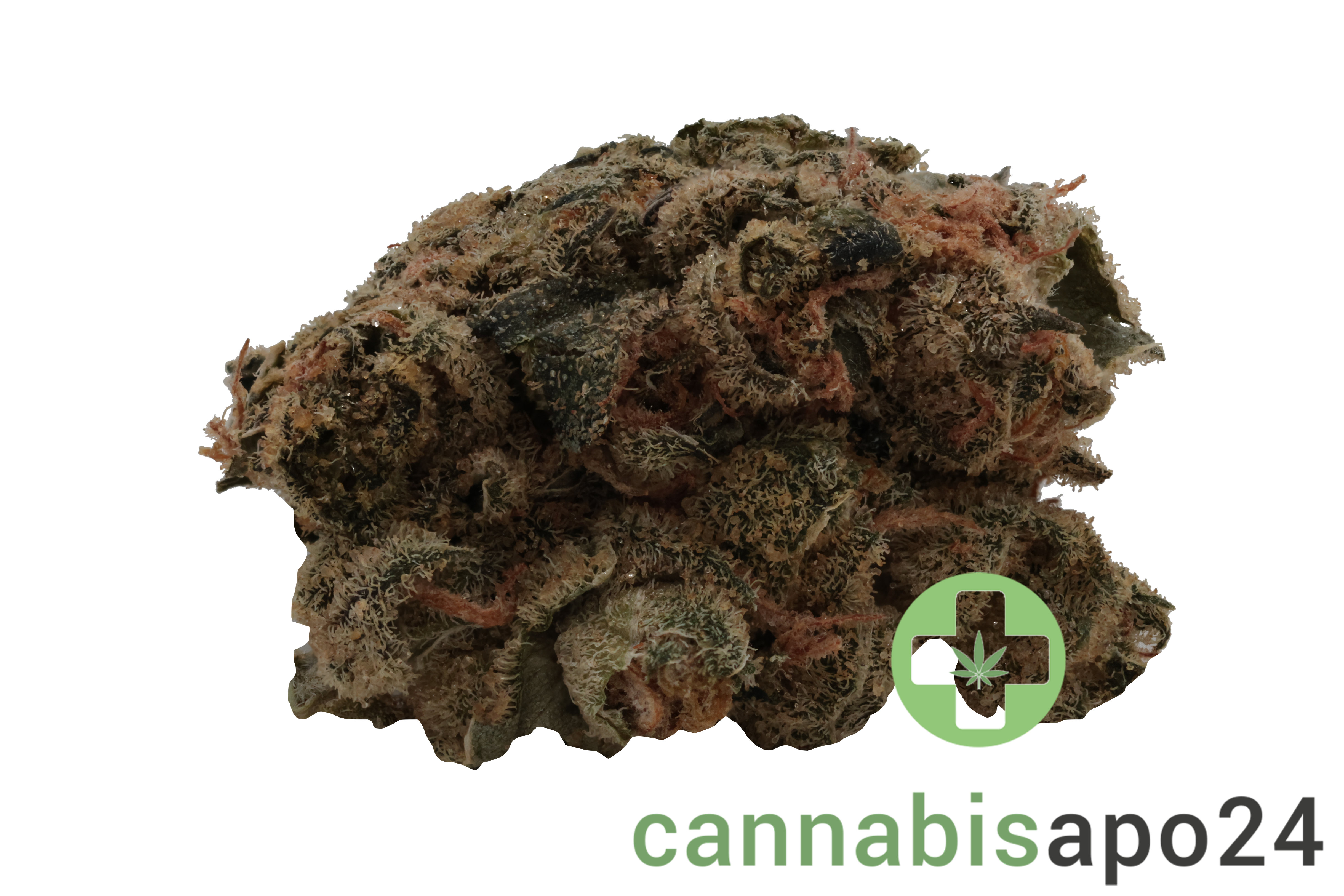 26/1 Amici UL Ultra Limelight