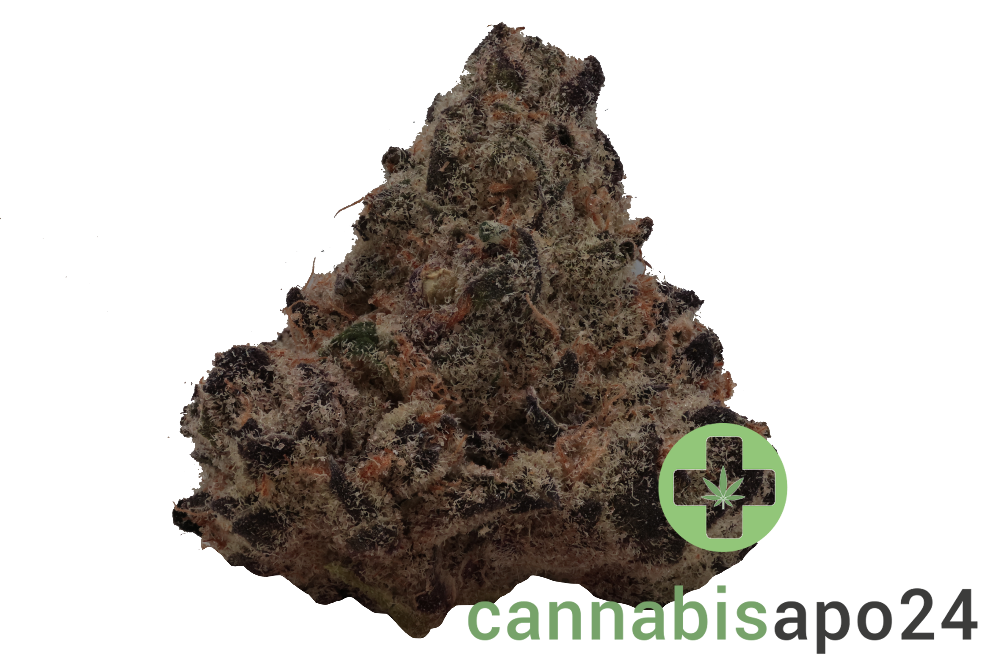 28/1 Amici CEM Cereal Milk