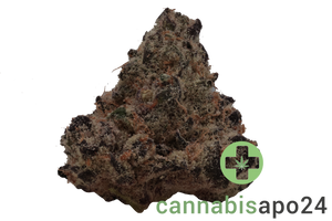 28/1 Amici CEM Cereal Milk