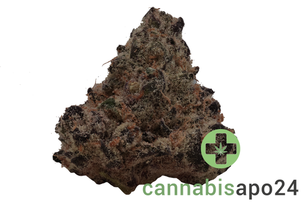 28/1 Amici CEM Cereal Milk