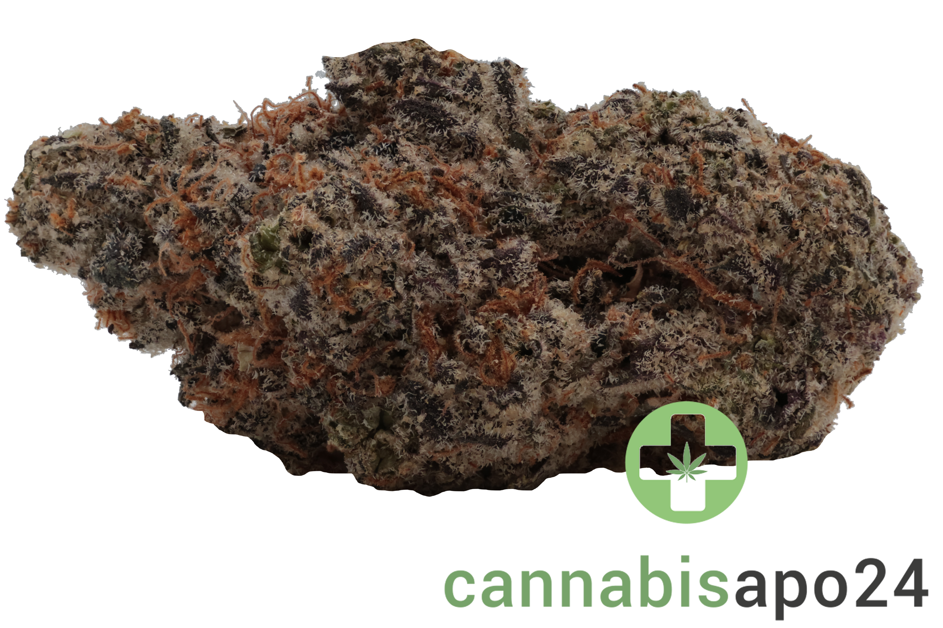 28/1 Amici RV Red Velvet