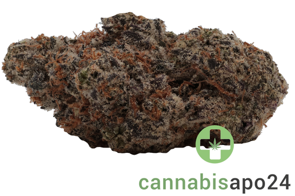 28/1 Amici RV Red Velvet