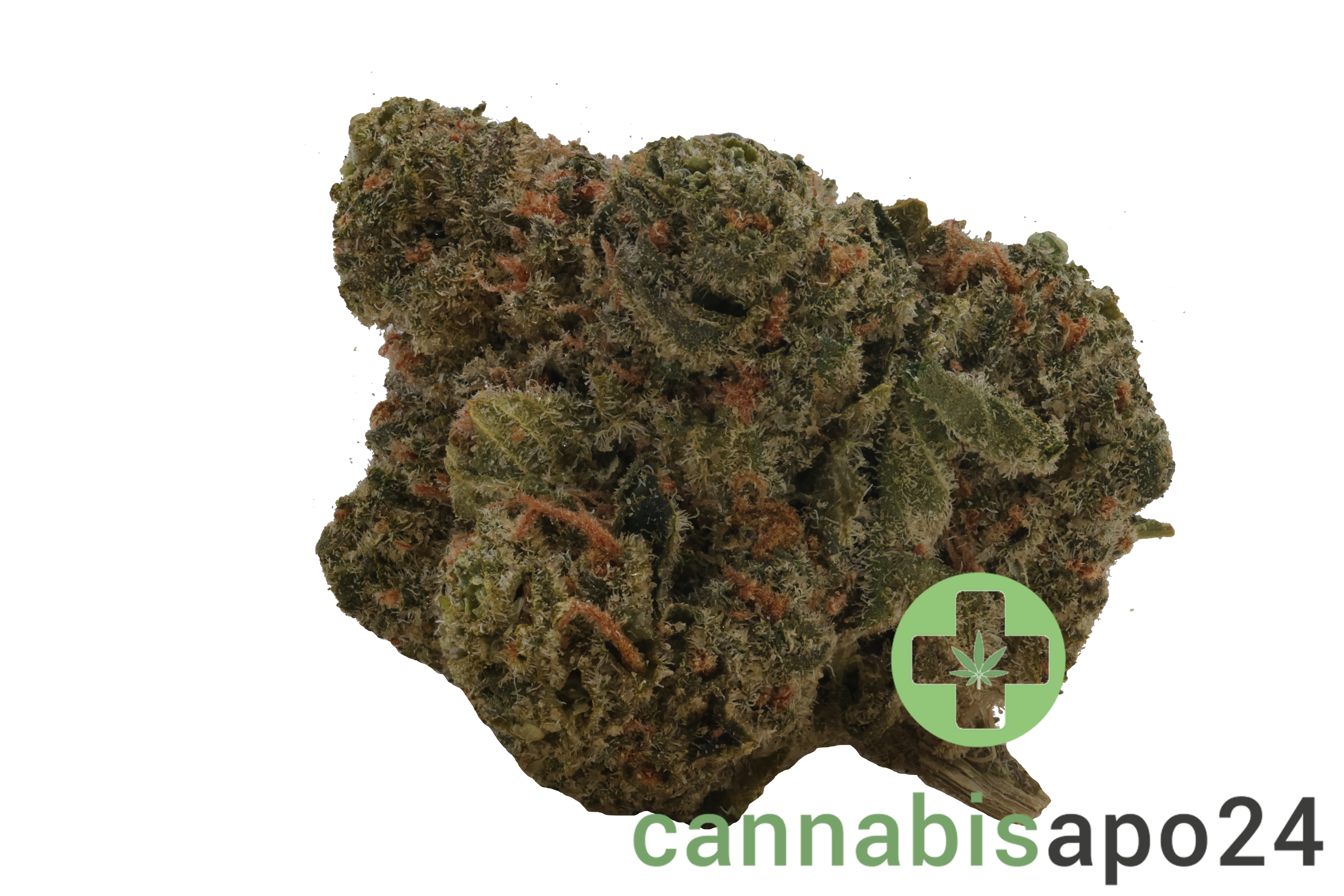 29/1 Amici SLE Sour Lemon OG