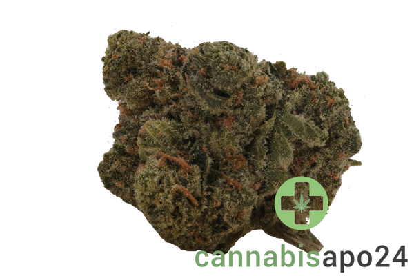 29/1 Amici SLE Sour Lemon OG